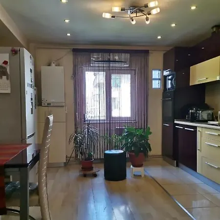 Apartament Cu 2 Apartment Timisoara